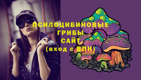 PSILOCYBIN Алзамай