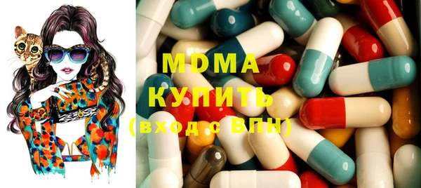PSILOCYBIN Алзамай