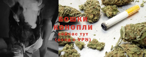 PSILOCYBIN Алзамай